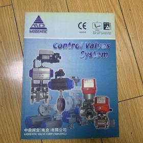 Control Valves System