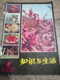 知识与生活创刊号