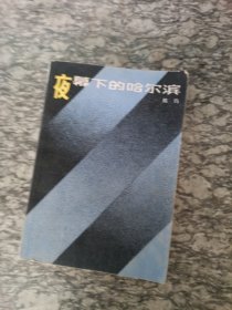 夜幕下的哈尔滨 下