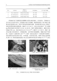 大型地下洞室开挖微震监测与围岩稳定评