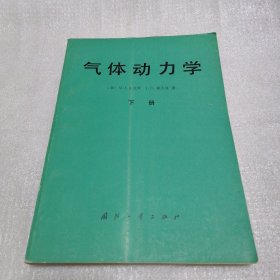 气体动力学（下册）