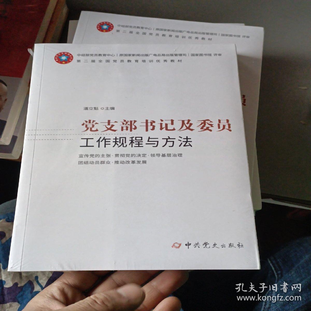 党支部书记及委员工作规程与方法/新时代党务工作规程与方法丛书