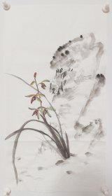 无款三尺四开条幅国画作品水 兰花 书摊也有作品