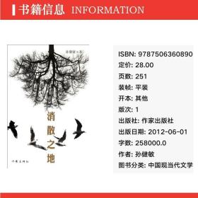 消散之地 中国现当代文学 孙健敏 新华正版