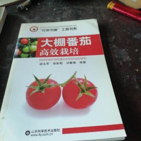 大棚番茄高效栽培