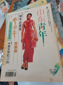 山东青年1995年第4期