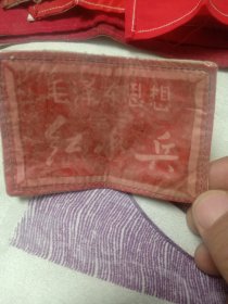 毛泽东思想，红小兵