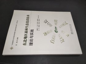 东北地区森林生态连清技术理论与实践/中国森林生态系统连续观测与清查及绿色核算系列丛书