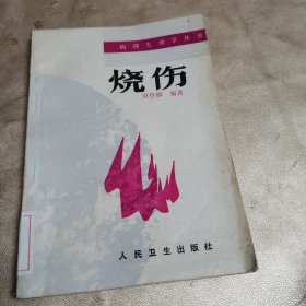 病理生理学丛书：烧伤