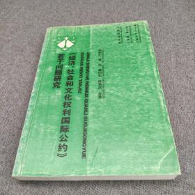 《经济、社会和文化权利国际公约》若干问题研究