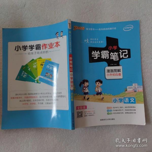 2018版 绿卡图书 学霸笔记漫画图解：小学数学（小升初必备 通用版 大字版 全彩版）