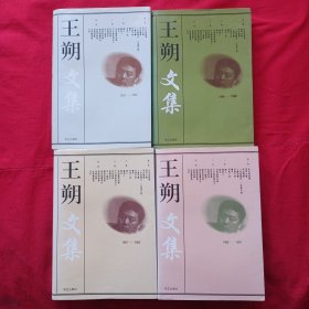 王朔文集（1-4）*