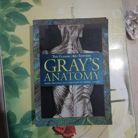 GRAY'S ANATOMY