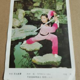 武当英豪（四开）