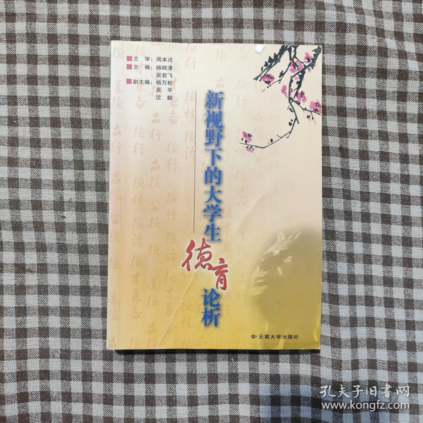 新视野下的大学生德育论析