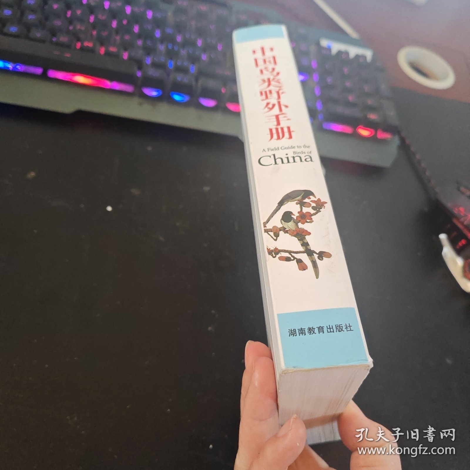 中国鸟类野外手册
