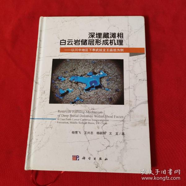 深埋藏滩相白云岩储层形成机理：以川中地区下寒武统龙王庙组为例