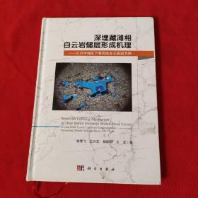 深埋藏滩相白云岩储层形成机理：以川中地区下寒武统龙王庙组为例