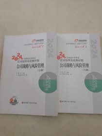 2024年注册会计师考试应试指导及经典好题 公司战略与风险管理(全