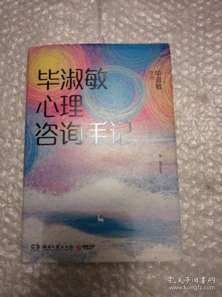 毕淑敏心理咨询手记
