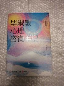 毕淑敏心理咨询手记