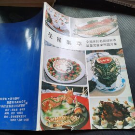 佳肴集萃 全国烹饪名师技术表演鉴定会菜点图片集