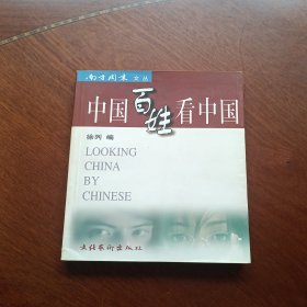 中国百姓看中国