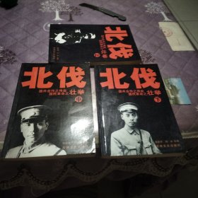 北伐壮举（上中下）