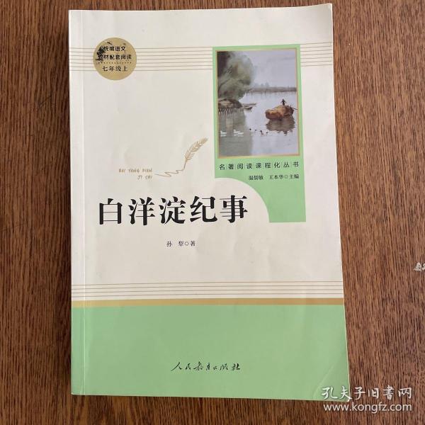 白洋淀纪事 名著阅读课程化丛书（统编语文教材配套阅读）七年级上