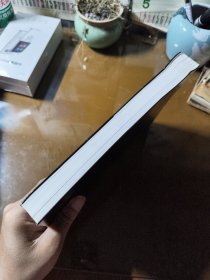 山的那一边：被俘德国将领谈二战