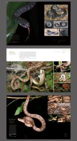 中国蛇类图鉴