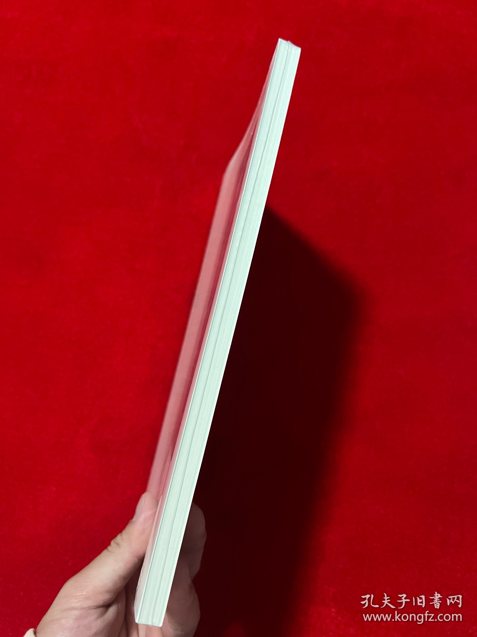 私法(第23辑.第1卷)(总第45卷)