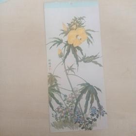 小挂历画页  花卉（徐聪佑）