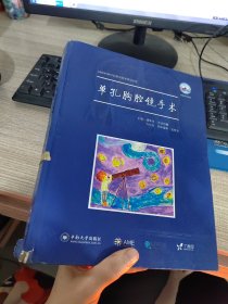 AME科研时间系列医学图书010 单孔胸腔镜手术