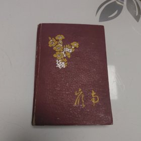 岭南日记本（书写60年代日记）