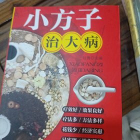 小方子治大病 中医书籍养生偏方大全民间老偏方美容养颜常见病防治 保健食疗偏方秘方大全小偏方老偏方中医健康养生保健疗法