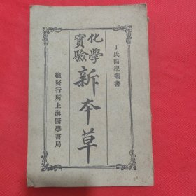 丁氏医学丛书：化学实验新本草（民国十八年版）