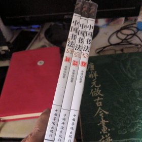 中国书法大全 全3册 从入门到精通学书法颜体石门颂礼器碑 曹全碑张迁碑中国传世书法技法书法大全基础入门书籍