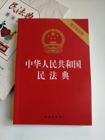 中华人民共和国民法典（32开压纹烫金附草案说明）2020年6月