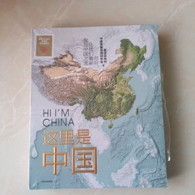 这里是中国（41箱）