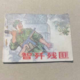 连环画：智歼残匪