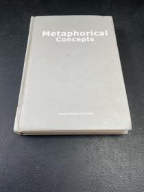 Metaphorical
Concepts