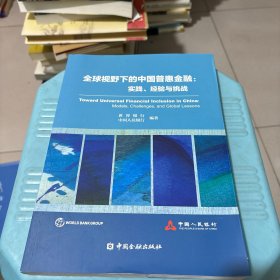 全球视野下的中国普惠金融：实践、经验与挑战