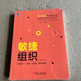 敏捷组织：如何建立一个创新、可持续、柔性的组织（原书第2版）