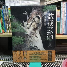 盆栽芸术 天―小林国雄の世界 日本盆栽艺术大师 鬼才作品书