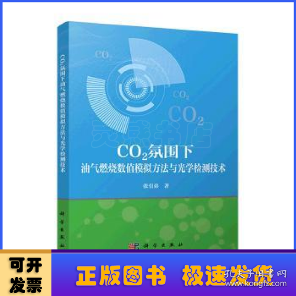 CO2氛围下油气燃烧数值模拟方法与光学检测技术