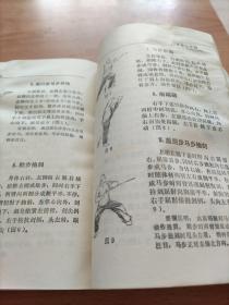 少林武功