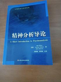 精神分析导论：心理咨询与治疗系列