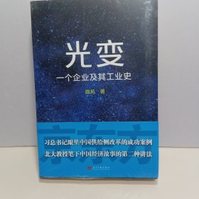 光变：一个企业及其工业史