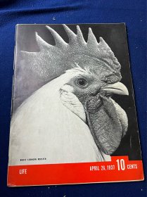 1937年4月美国生活杂志，图文专题美国在太平洋的防御，夏威夷，郁金香的香味及世界上最疯狂的画家